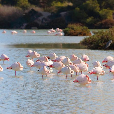 Casa El Oasis Βίλα Κάλπε Εξωτερικό φωτογραφία